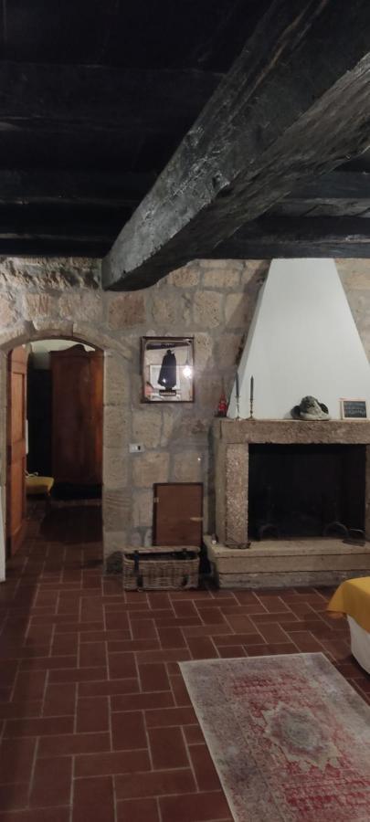 Апартаменти La Chascona Di Farnese Casa Di Tufo Nel Borgo Екстер'єр фото