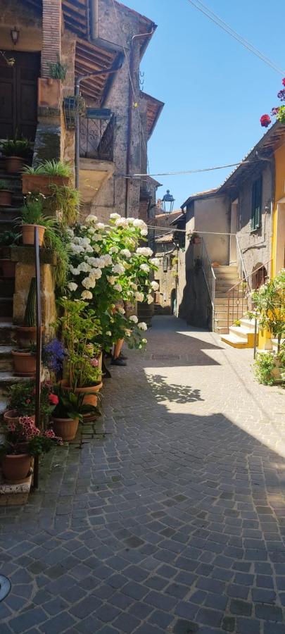Апартаменти La Chascona Di Farnese Casa Di Tufo Nel Borgo Екстер'єр фото